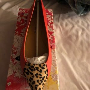 Chinese laundry flats